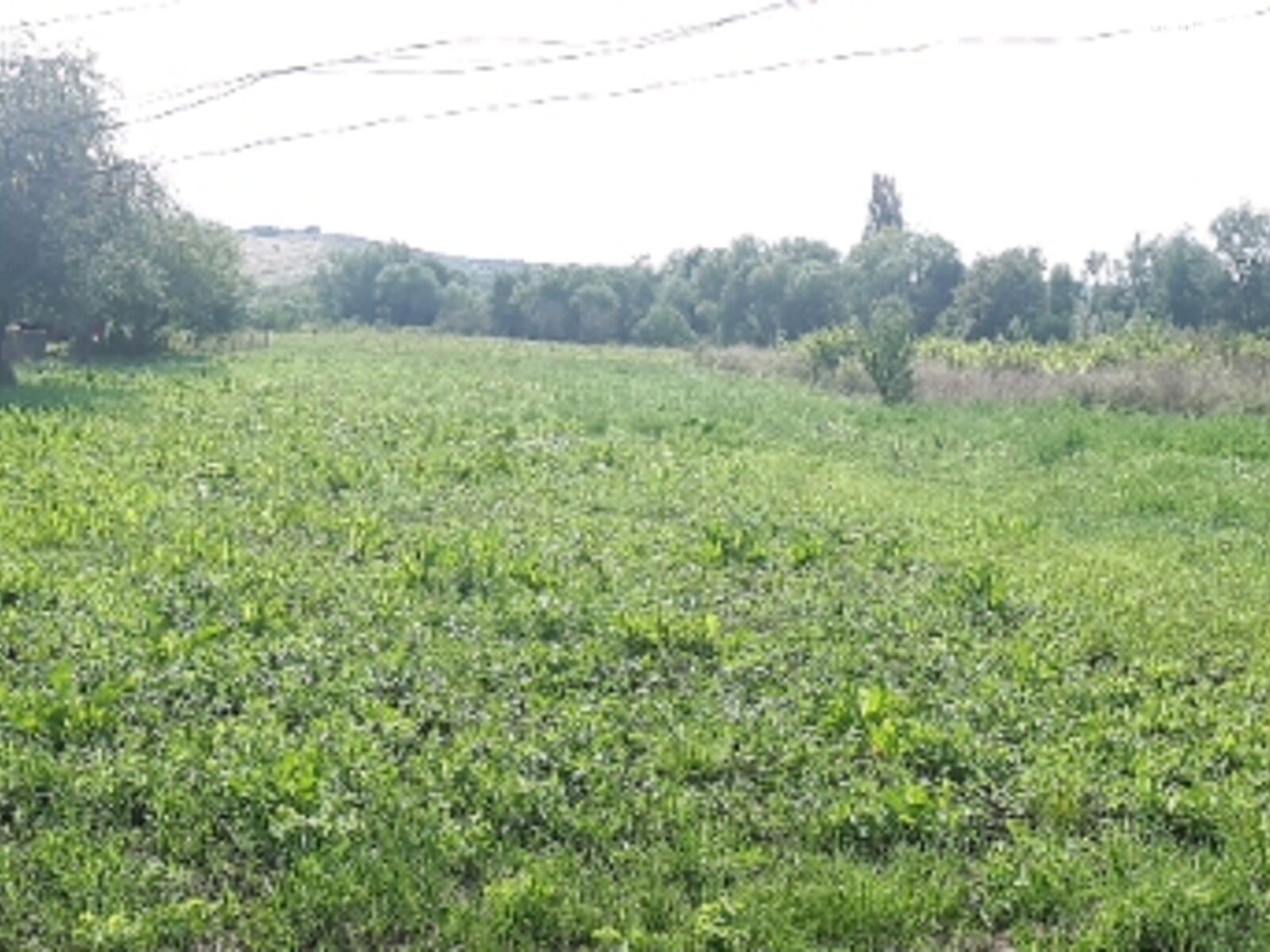 Земельна ділянка під житлову забудову в Великому Кучерові, площа 45 соток фото 1