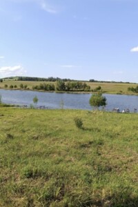 Земельна ділянка під житлову забудову в Великому Кучурові, площа 127 соток фото 2