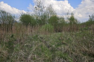 Земельна ділянка під житлову забудову в Великому Любині, площа 11 соток фото 2