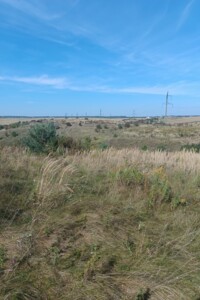 Земельна ділянка під житлову забудову в Великому Омелянику, площа 0.1306 Га фото 2