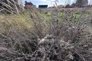 Земельна ділянка під житлову забудову в Великодолинському, площа 8 соток фото 2