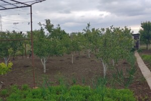 Земельна ділянка під житлову забудову в Великодолинському, площа 6 соток фото 2