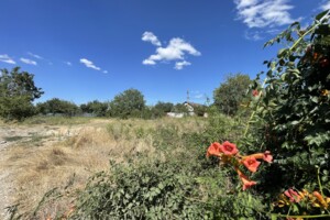 Земельна ділянка під житлову забудову в Великодолинському, площа 6 соток фото 2