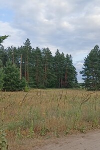 Земельна ділянка під житлову забудову в Вергунах, площа 25 соток фото 2