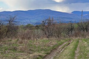 Земельный участок под жилую застройку в Верхнем Коропце, площадь 100 соток фото 2