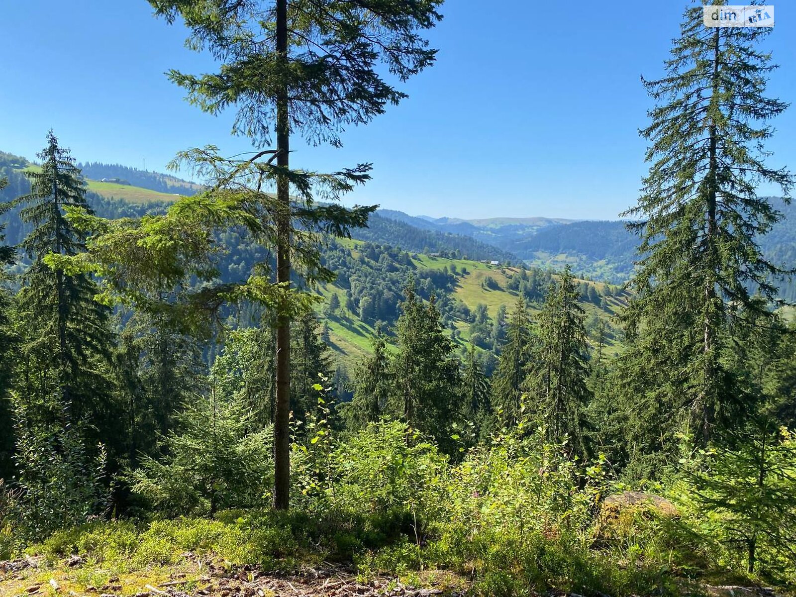 Земля під житлову забудову в Верхньому Ясеневі, площа 80 соток фото 1 Земля під житлову забудову в Верхньому Ясеневі, площа 80 соток фото 1