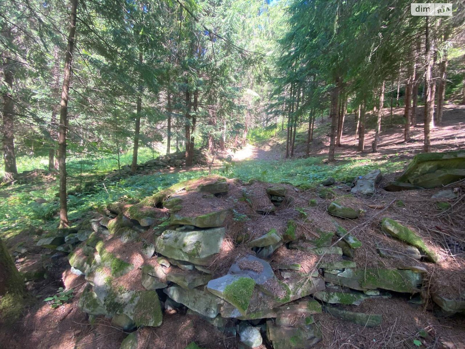 Земля під житлову забудову в Верхньому Ясеневі, площа 80 соток фото 1 Земля під житлову забудову в Верхньому Ясеневі, площа 80 соток фото 1