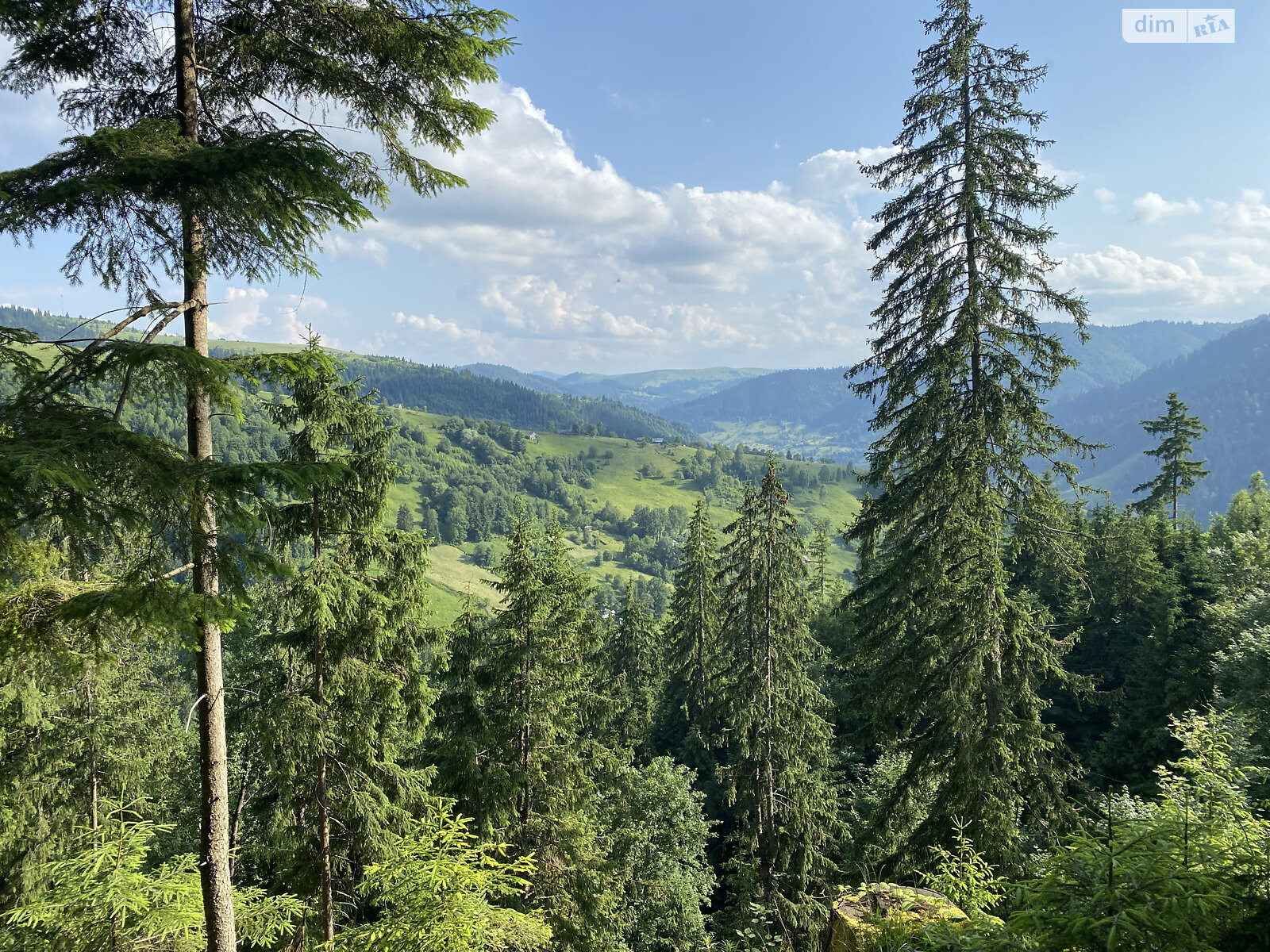 Земля під житлову забудову в Верхньому Ясеневі, площа 80 соток фото 1 Земля під житлову забудову в Верхньому Ясеневі, площа 80 соток фото 1