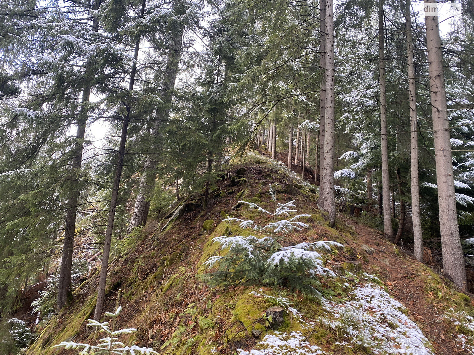 Земля під житлову забудову в Верхньому Ясеневі, площа 80 соток фото 1 Земля під житлову забудову в Верхньому Ясеневі, площа 80 соток фото 1