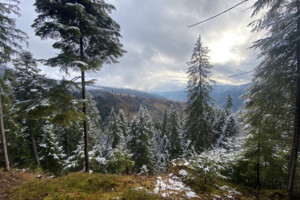 Земля під житлову забудову в Верхньому Ясеневі, площа 80 соток фото 2 Земля під житлову забудову в Верхньому Ясеневі, площа 80 соток фото 2