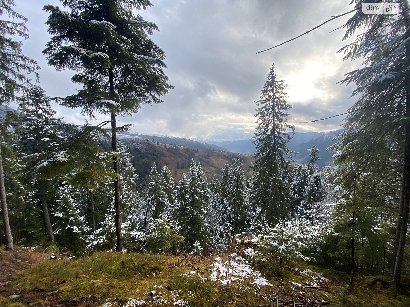 Земля під житлову забудову в Верхньому Ясеневі, площа 80 соток фото 1 Земля під житлову забудову в Верхньому Ясеневі, площа 80 соток фото 1