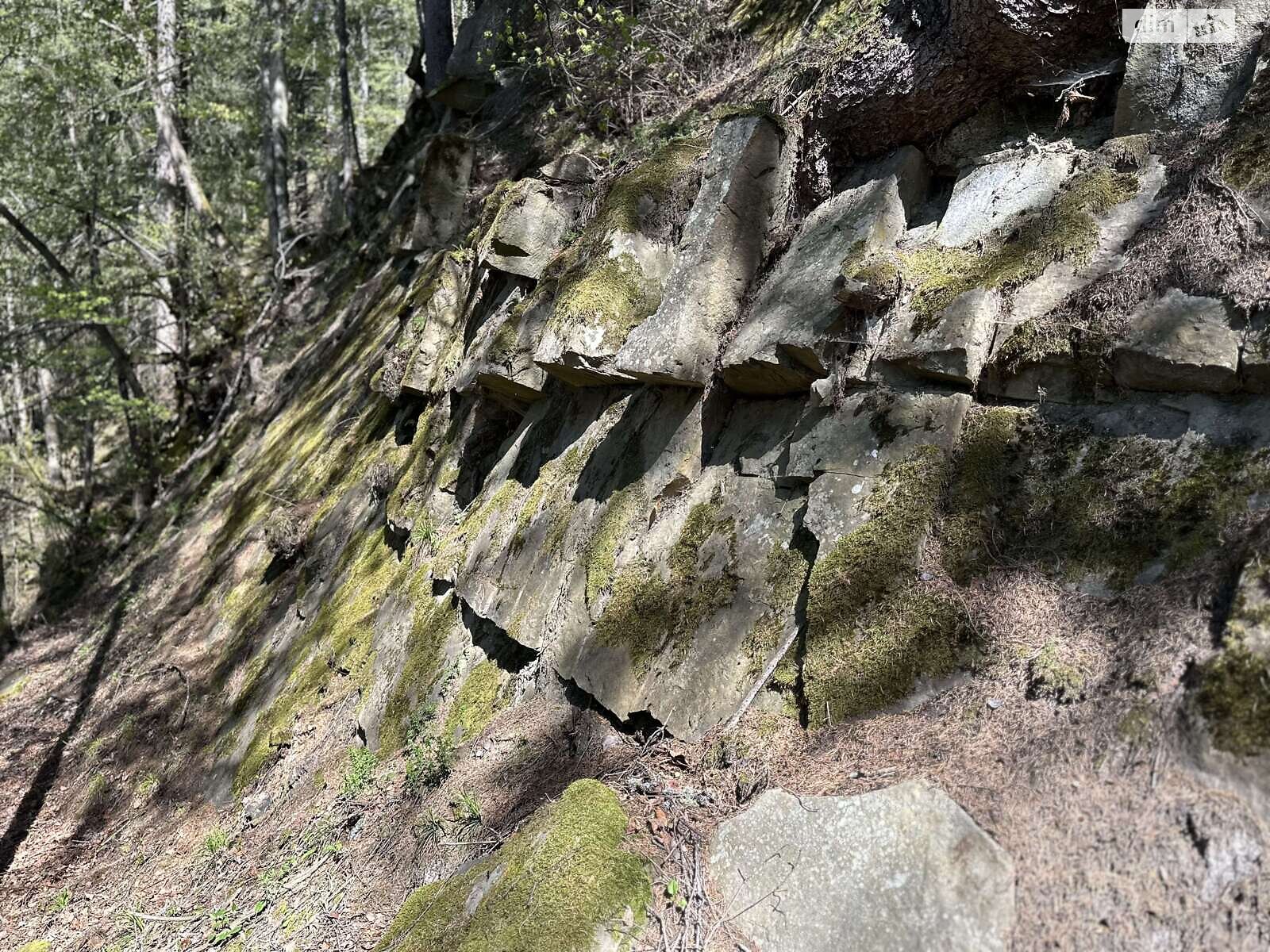 Земля під житлову забудову в Верхньому Ясеневі, площа 80 соток фото 1 Земля під житлову забудову в Верхньому Ясеневі, площа 80 соток фото 1