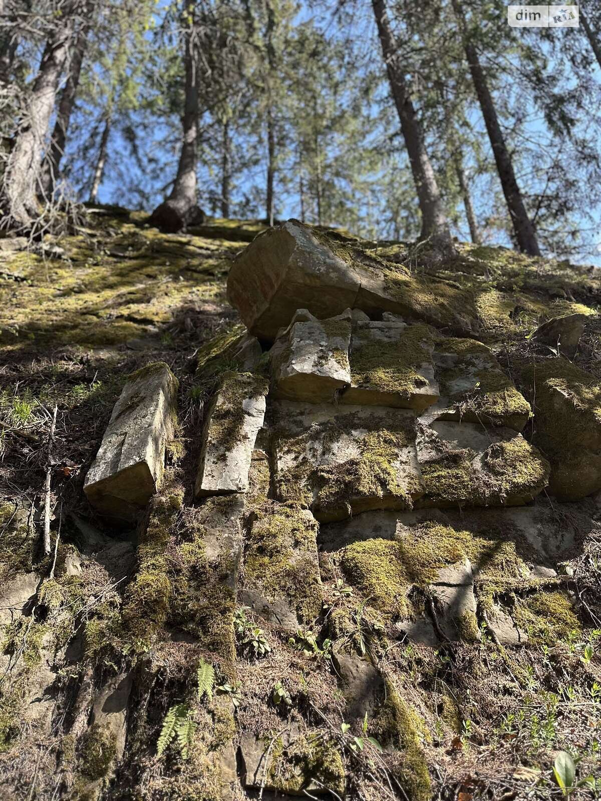 Земля під житлову забудову в Верхньому Ясеневі, площа 80 соток фото 1 Земля під житлову забудову в Верхньому Ясеневі, площа 80 соток фото 1