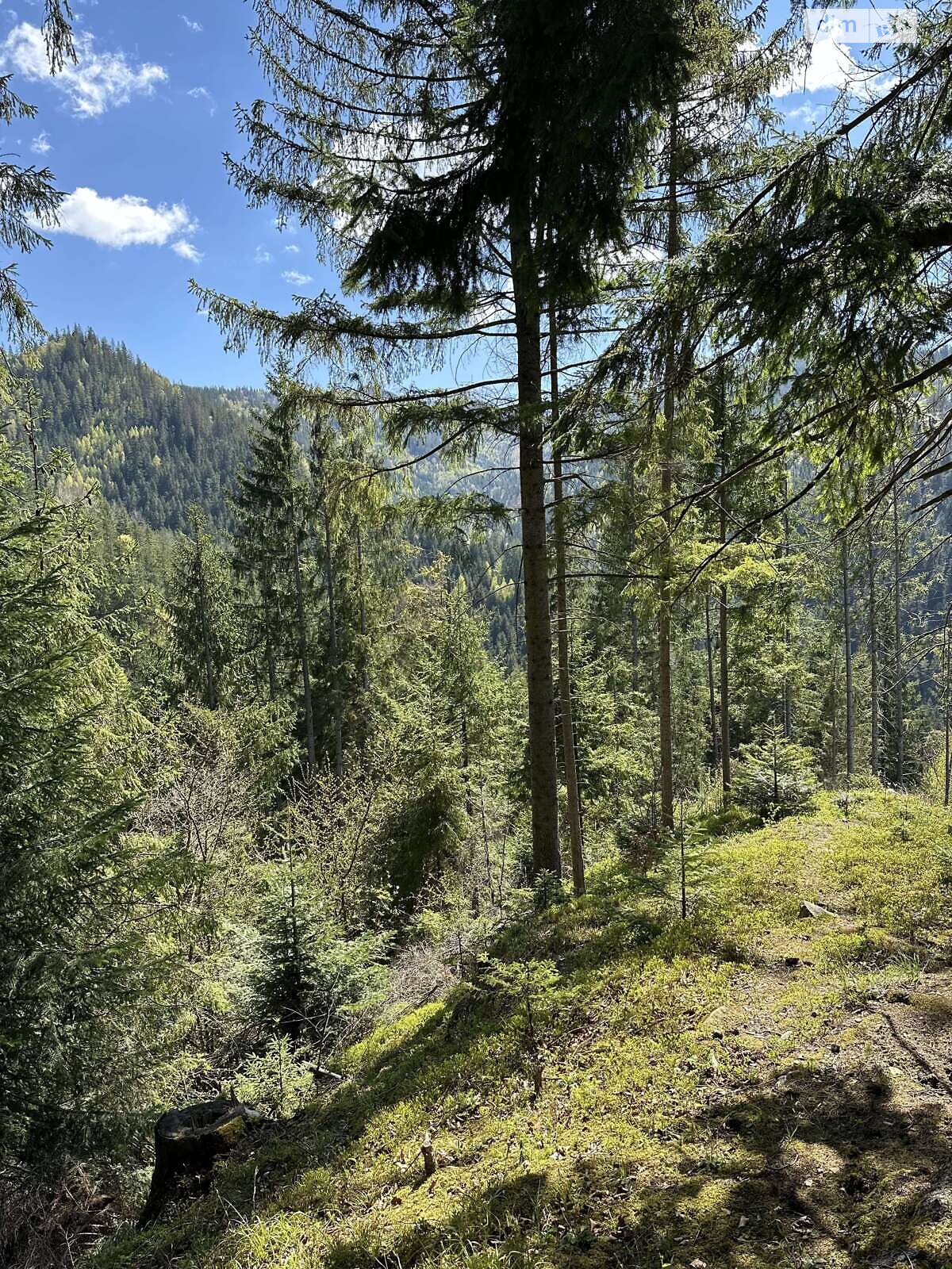 Земля під житлову забудову в Верхньому Ясеневі, площа 80 соток фото 1 Земля під житлову забудову в Верхньому Ясеневі, площа 80 соток фото 1