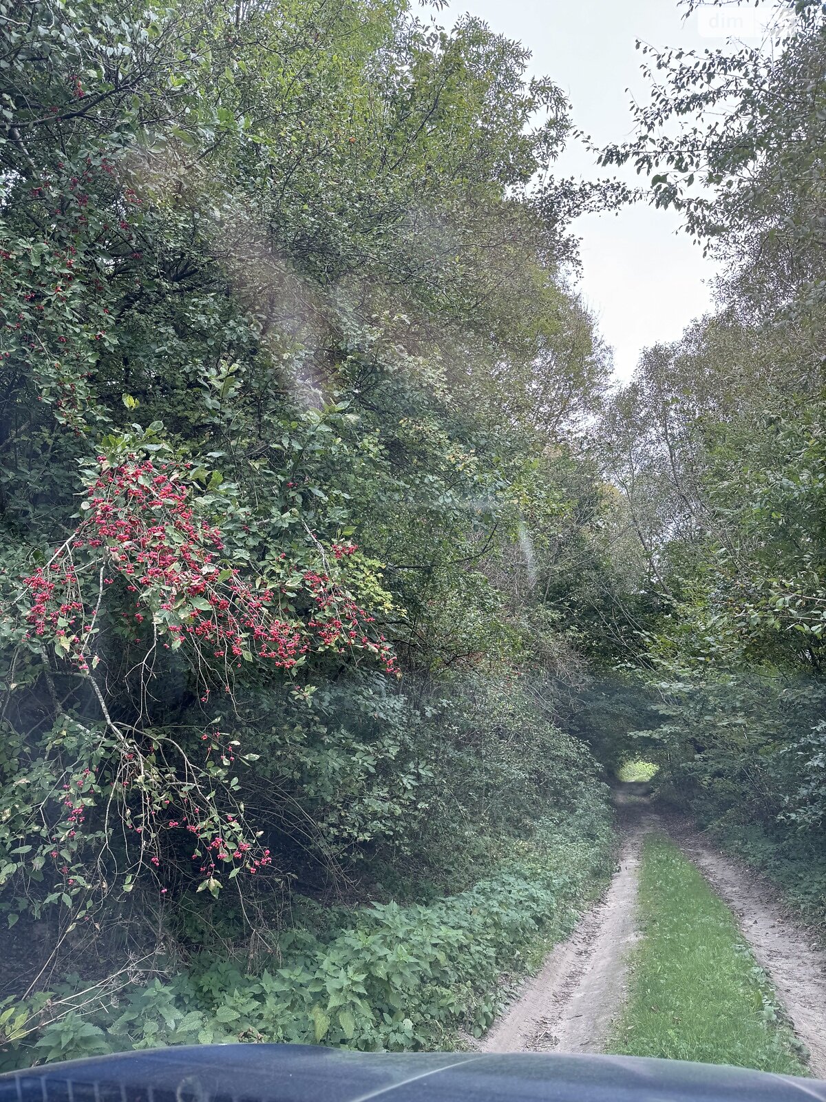 Земельный участок под жилую застройку в Верхове, площадь 25 соток фото 1 Земельный участок под жилую застройку в Верхове, площадь 25 соток фото 1