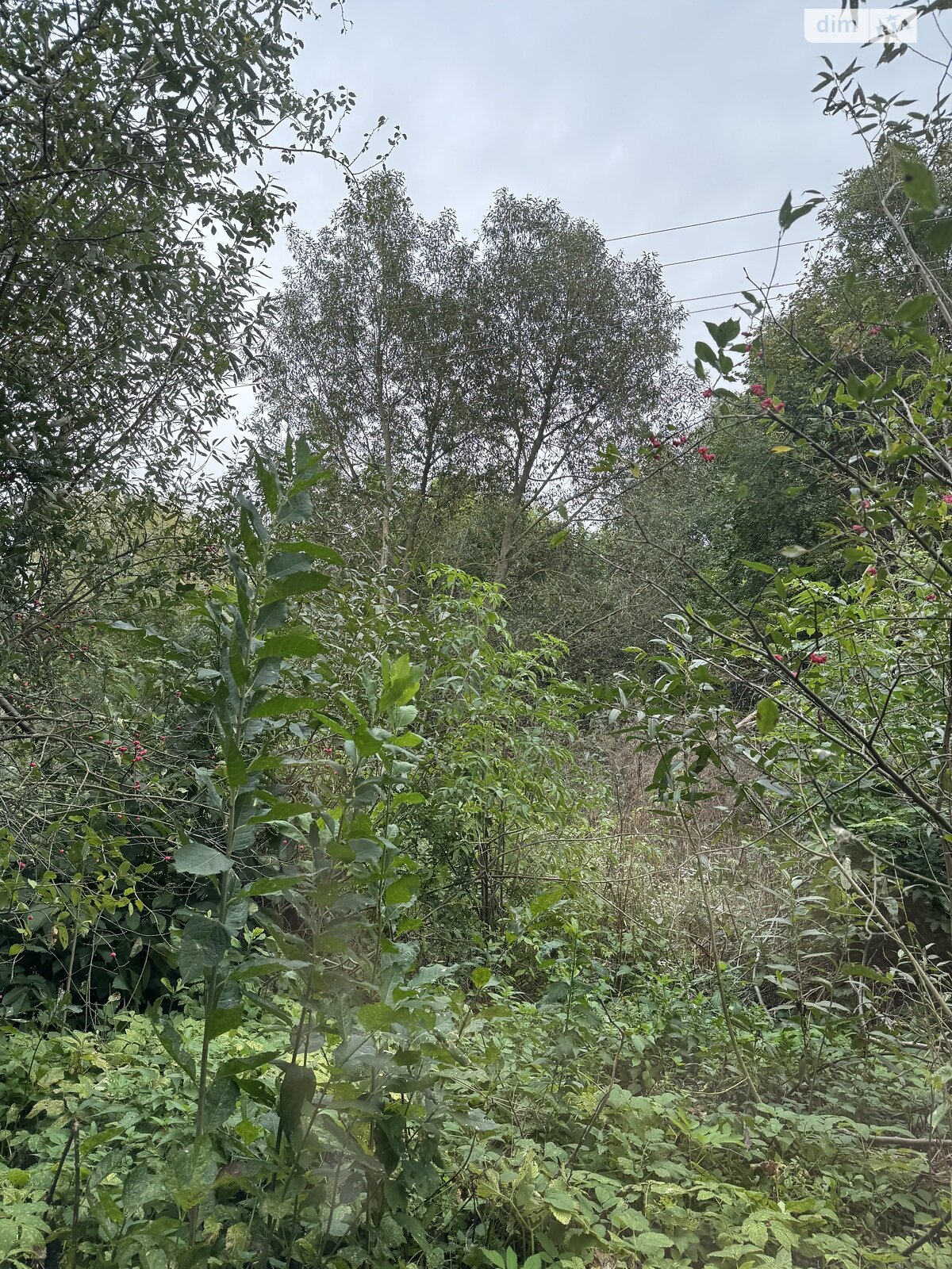 Земельный участок под жилую застройку в Верхове, площадь 25 соток фото 1 Земельный участок под жилую застройку в Верхове, площадь 25 соток фото 1