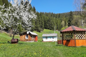 Земля под жилую застройку в Верховине, район Верховина, площадь 40 соток фото 2