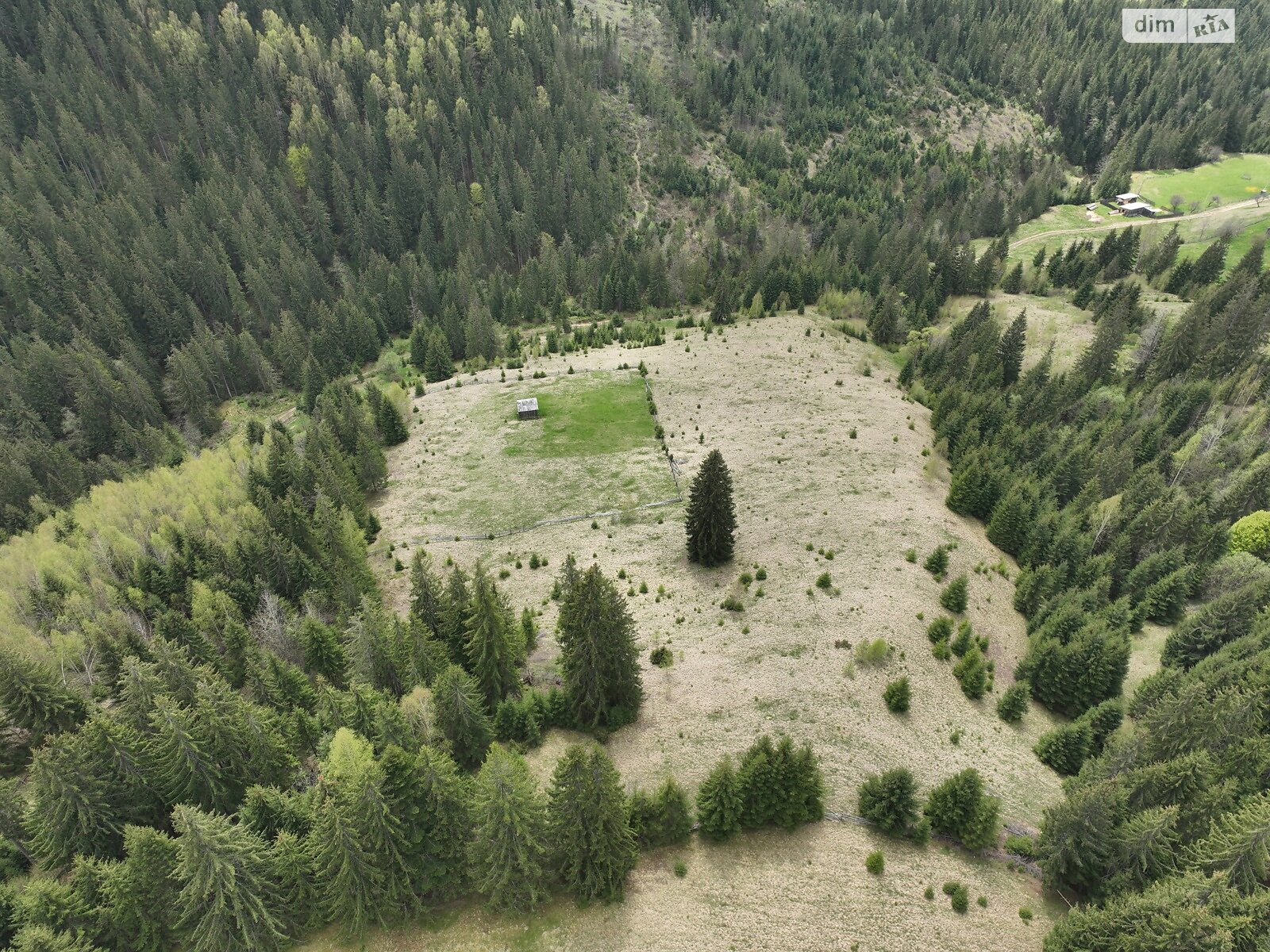 Земля під житлову забудову в Верховині, район Верховина, площа 2 Га фото 1