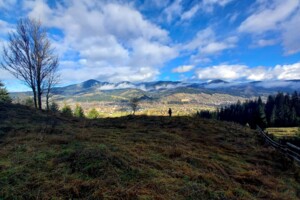 Земля под жилую застройку в Верховине, район Верховина, площадь 30 соток фото 2