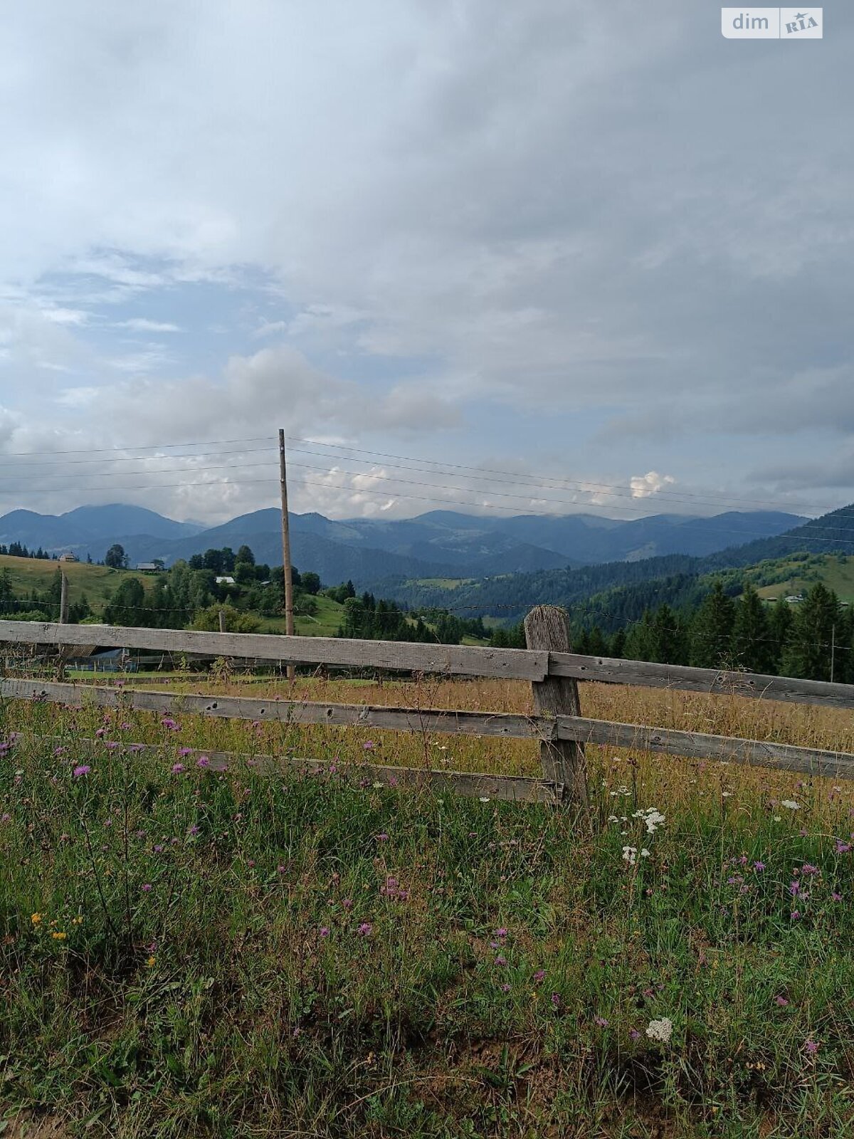 Земля під житлову забудову в Верховині, район Верховина, площа 192.05 сотки фото 1 Земля під житлову забудову в Верховині, район Верховина, площа 192.05 сотки фото 1