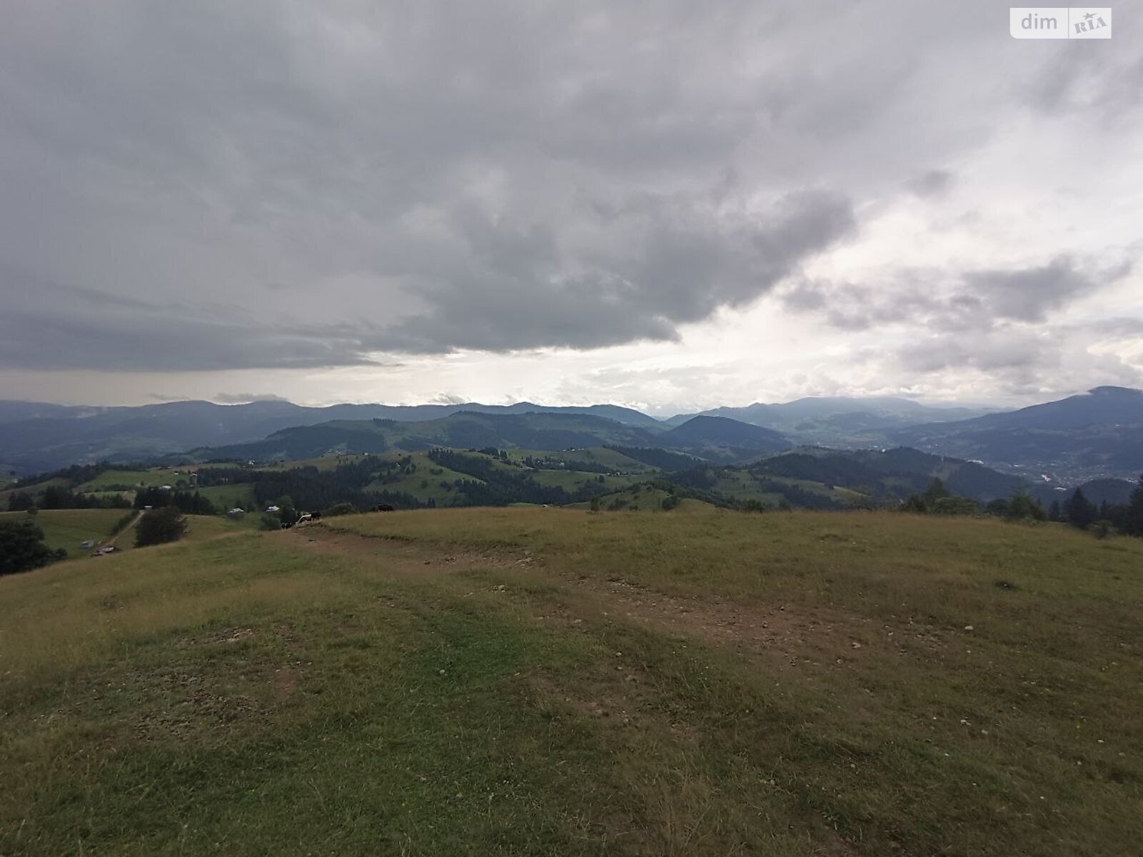 Земля під житлову забудову в Верховині, район Верховина, площа 192.05 сотки фото 1 Земля під житлову забудову в Верховині, район Верховина, площа 192.05 сотки фото 1