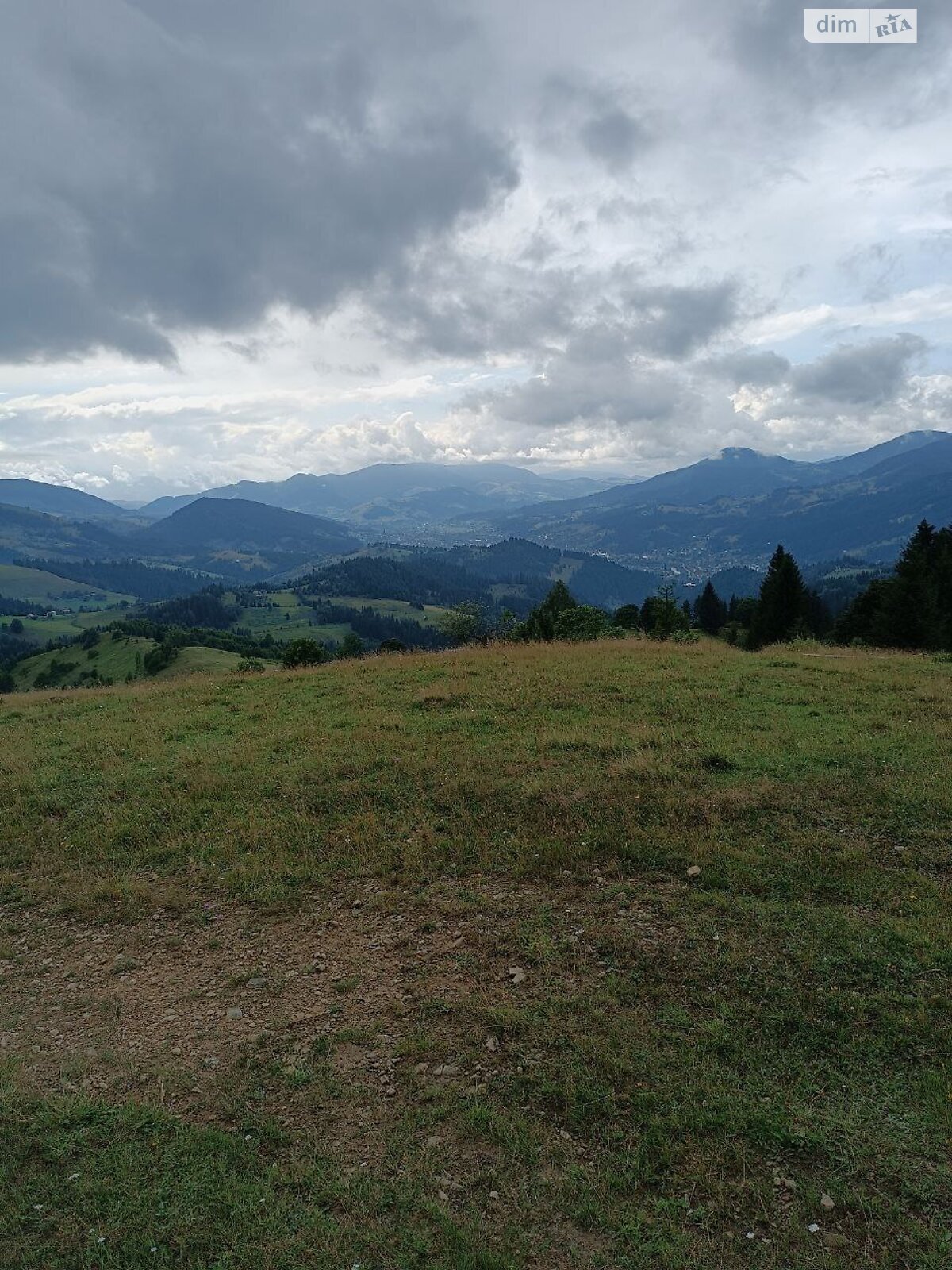 Земля під житлову забудову в Верховині, район Верховина, площа 192.05 сотки фото 1 Земля під житлову забудову в Верховині, район Верховина, площа 192.05 сотки фото 1