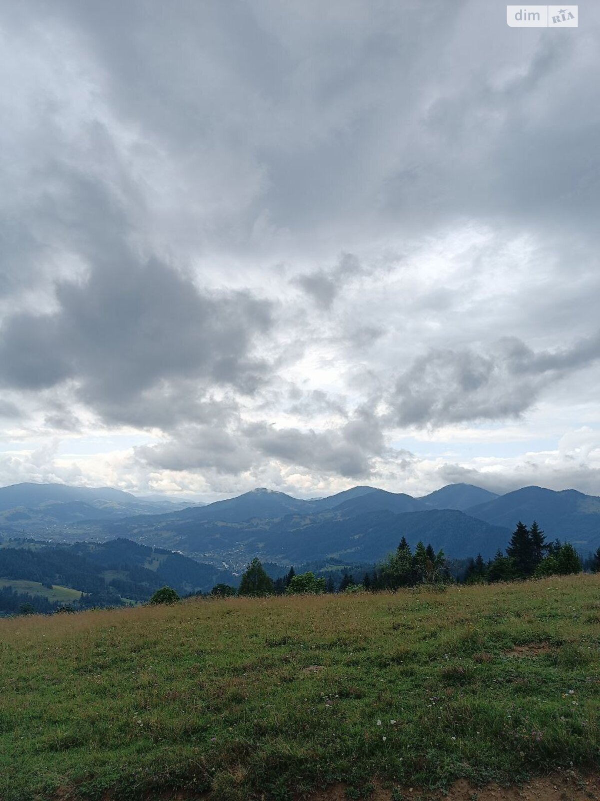 Земля під житлову забудову в Верховині, район Верховина, площа 192.05 сотки фото 1 Земля під житлову забудову в Верховині, район Верховина, площа 192.05 сотки фото 1