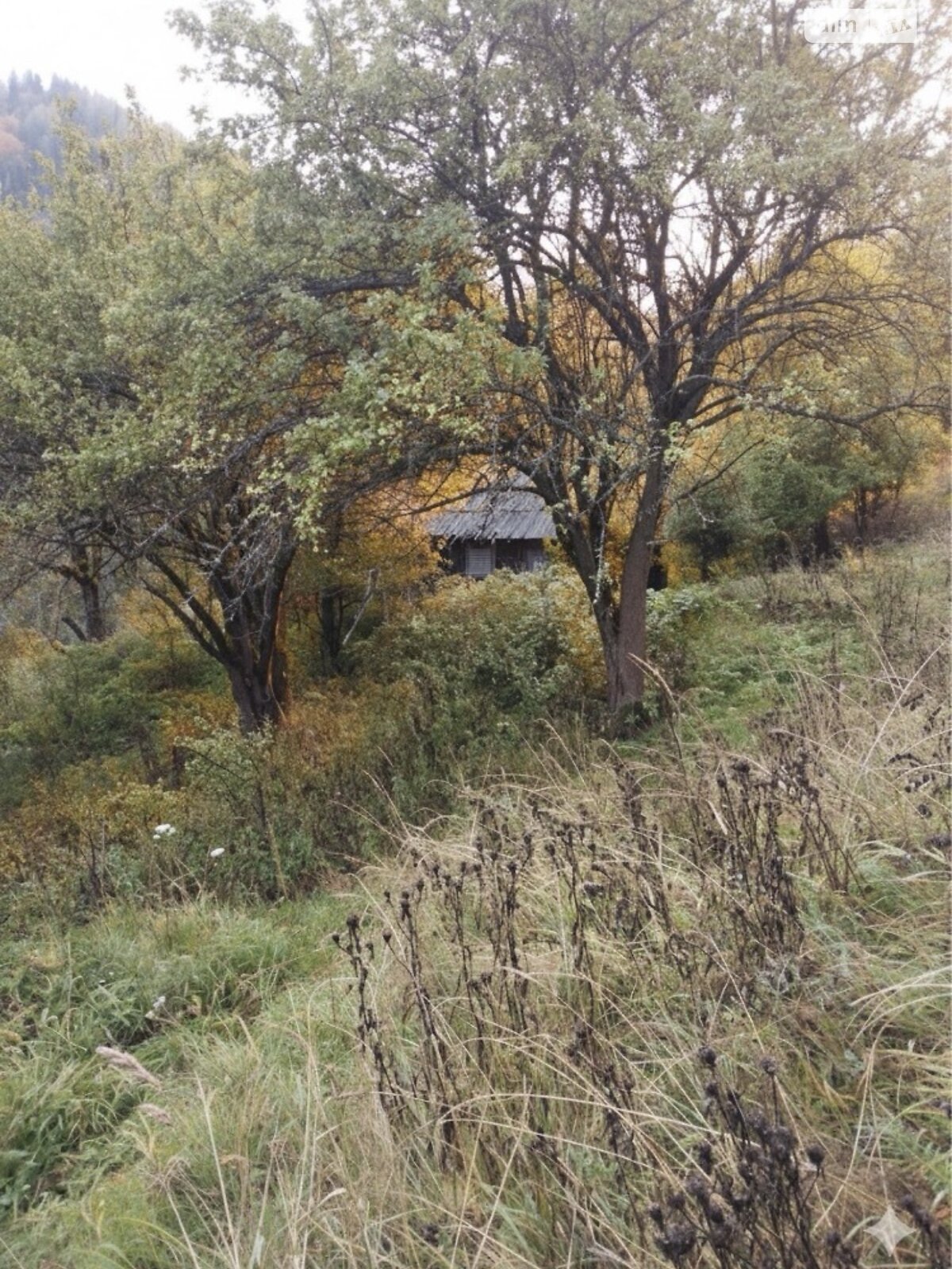 Земельный участок под жилую застройку в Верховине, площадь 110 соток фото 1