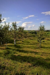 Земля під житлову забудову в Віньківцях, район Віньківці, площа 15 соток фото 2