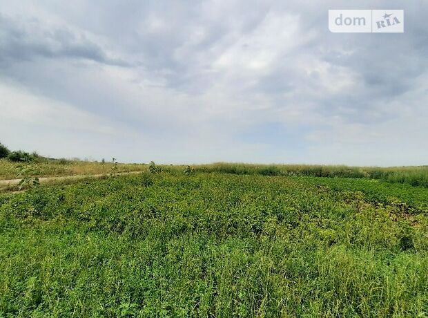 Земля під житлову забудову в селі Агрономічне, площа 6 соток фото 1 Земля під житлову забудову в селі Агрономічне, площа 6 соток фото 1