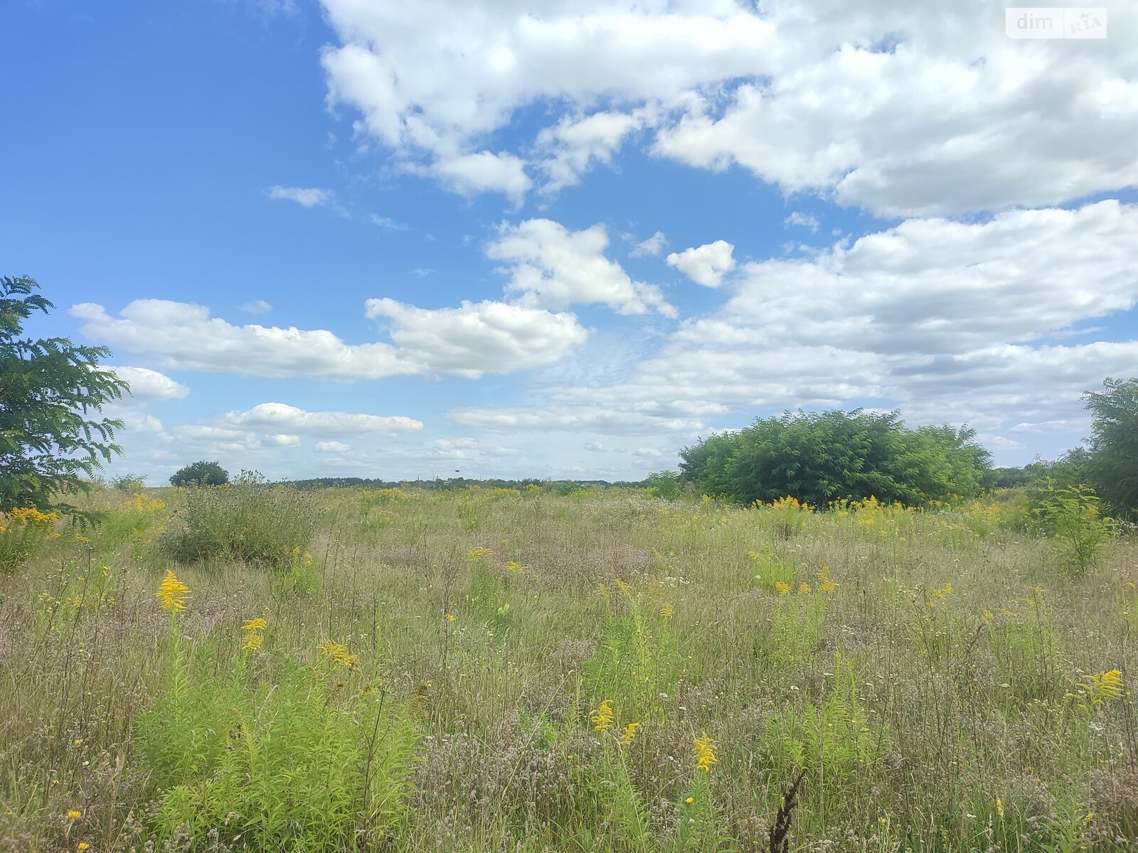 Земля под жилую застройку в Виннице, район Академический, площадь 5 соток фото 1