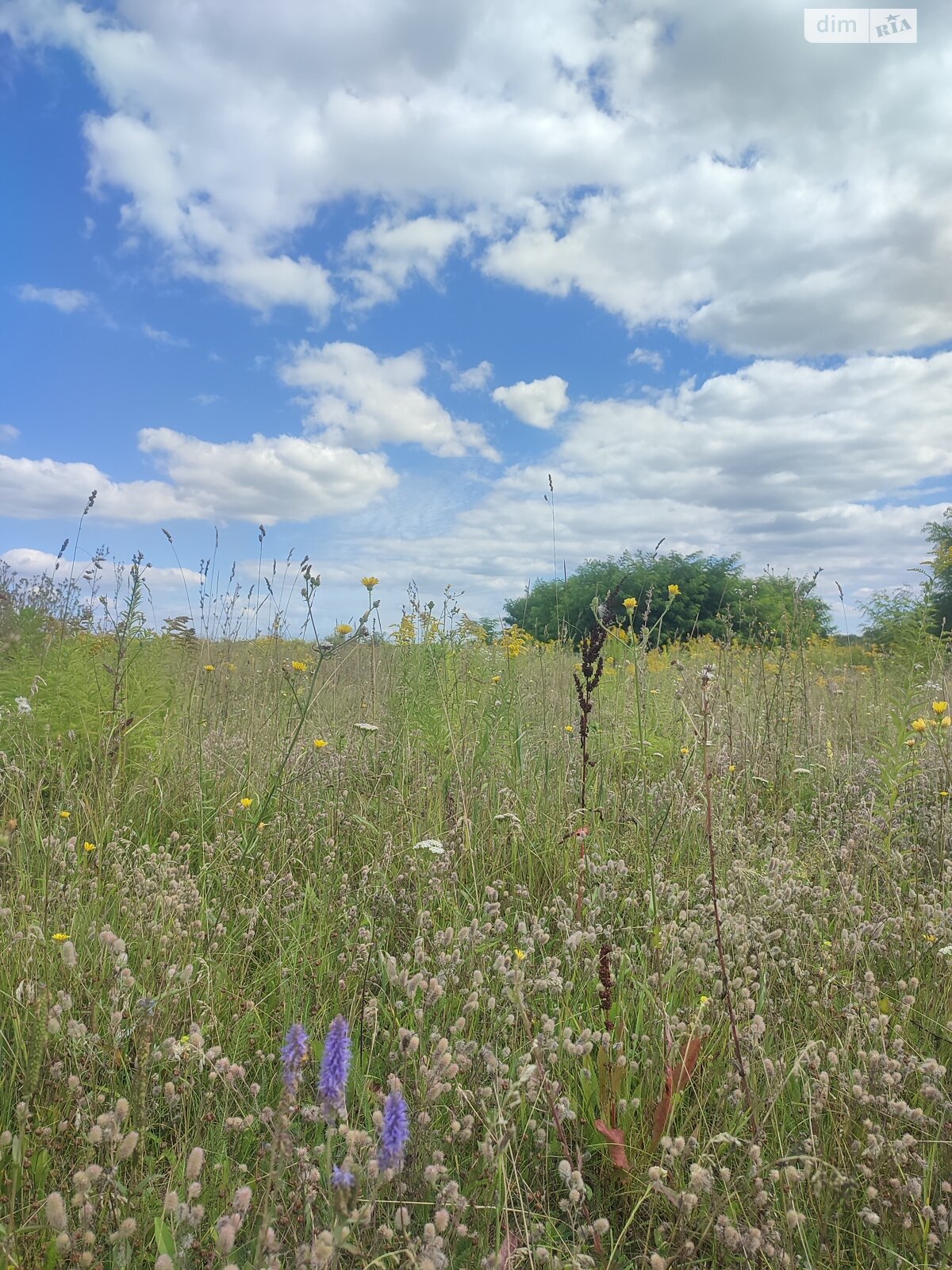 Земля под жилую застройку в Виннице, район Академический, площадь 5 соток фото 1