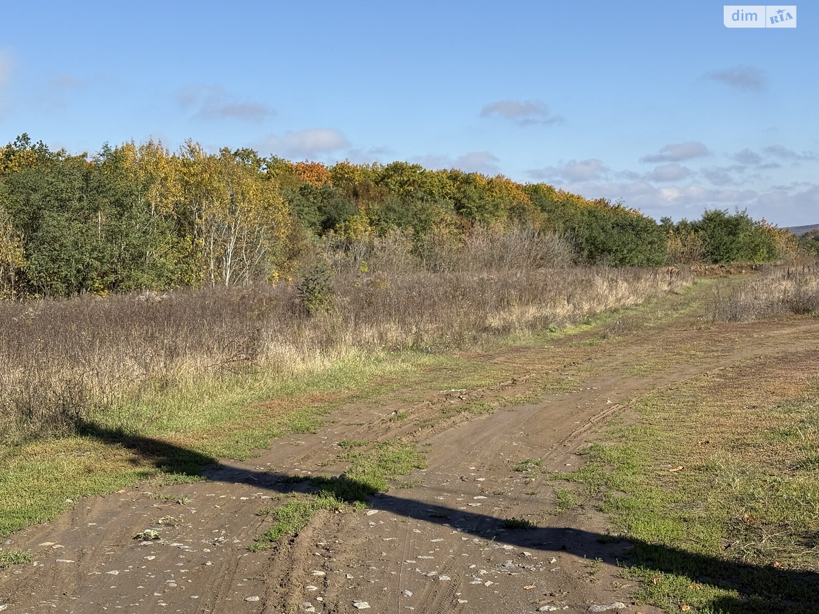 Земля под жилую застройку в Виннице, район Академический, площадь 24 сотки фото 1 Земля под жилую застройку в Виннице, район Академический, площадь 24 сотки фото 1