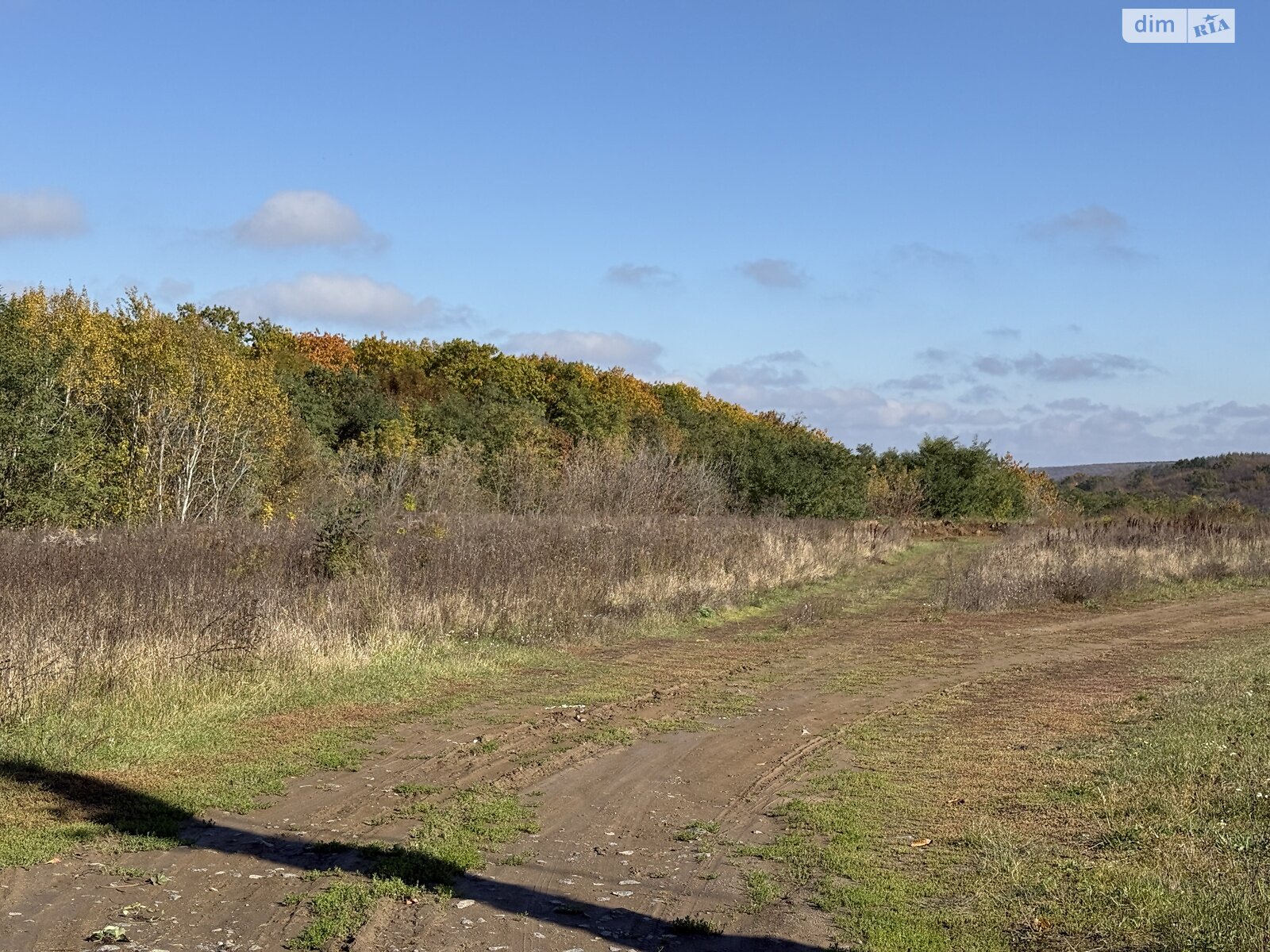 Земля под жилую застройку в Виннице, район Академический, площадь 24 сотки фото 1 Земля под жилую застройку в Виннице, район Академический, площадь 24 сотки фото 1