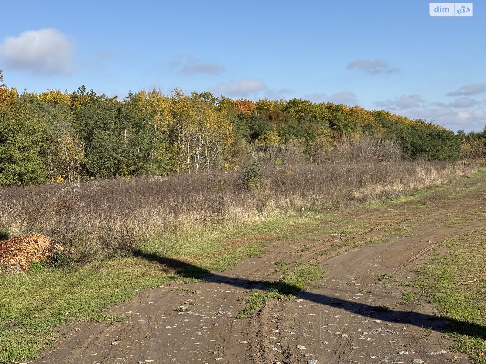 Земля под жилую застройку в Виннице, район Академический, площадь 24 сотки фото 1 Земля под жилую застройку в Виннице, район Академический, площадь 24 сотки фото 1
