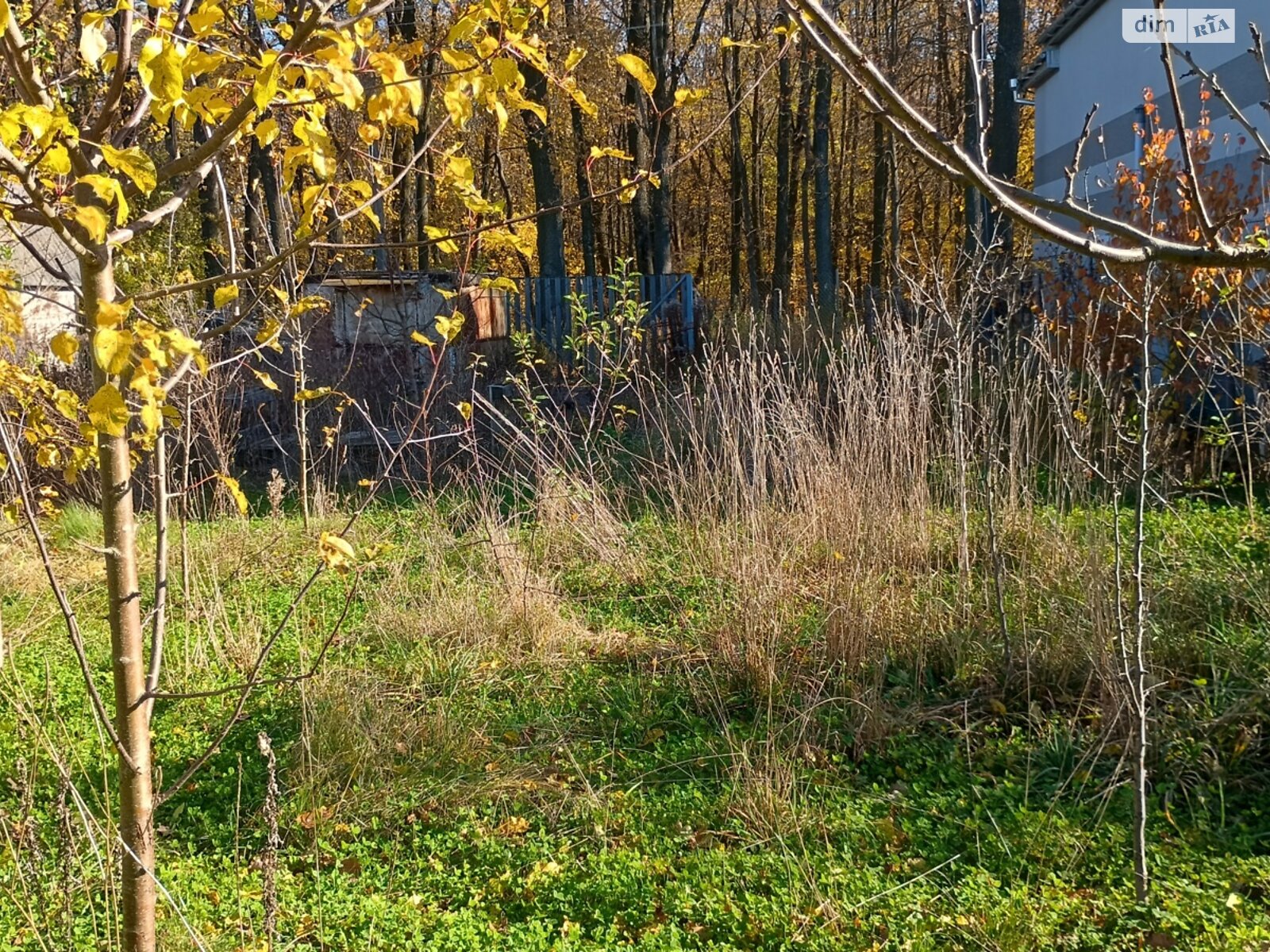 Земельный участок под жилую застройку в Прибужскому, площадь 5 соток фото 1