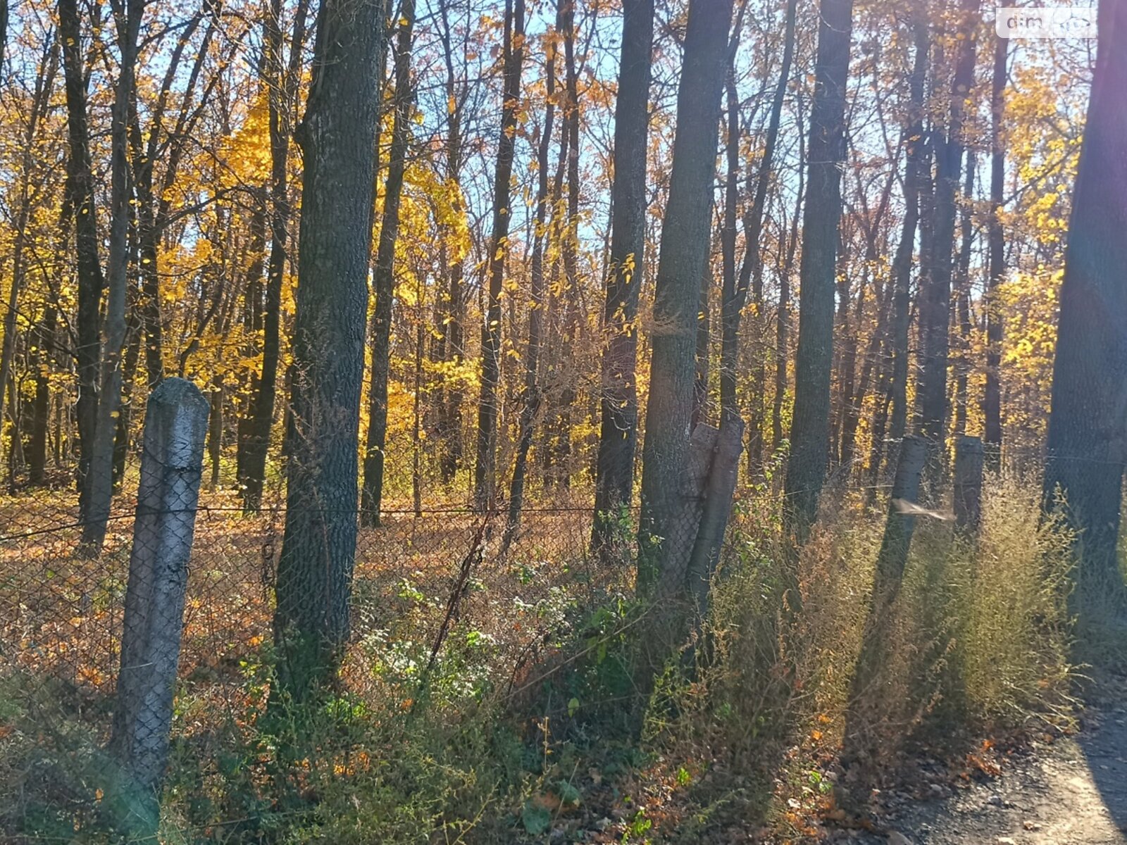 Земельный участок под жилую застройку в Прибужскому, площадь 5 соток фото 1