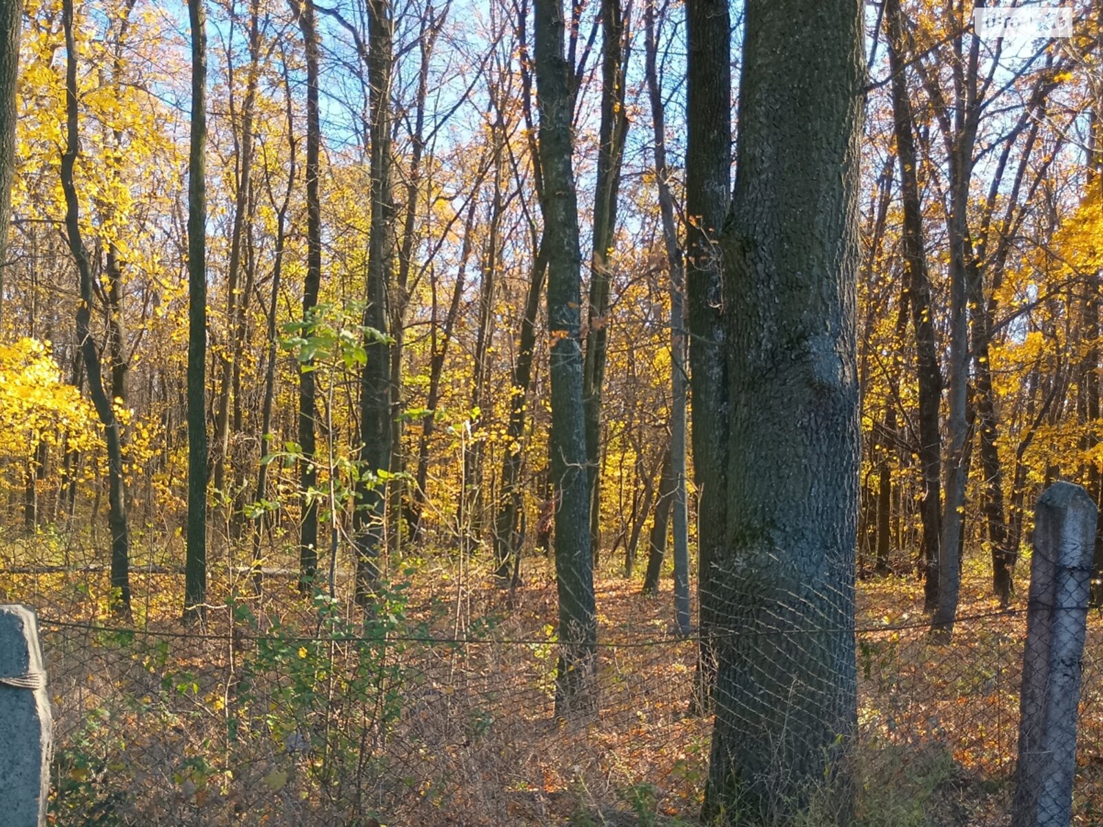Земельный участок под жилую застройку в Прибужскому, площадь 5 соток фото 1