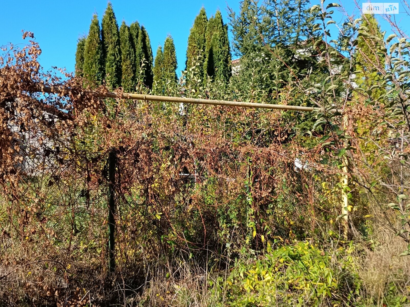 Земельный участок под жилую застройку в Прибужскому, площадь 5 соток фото 1