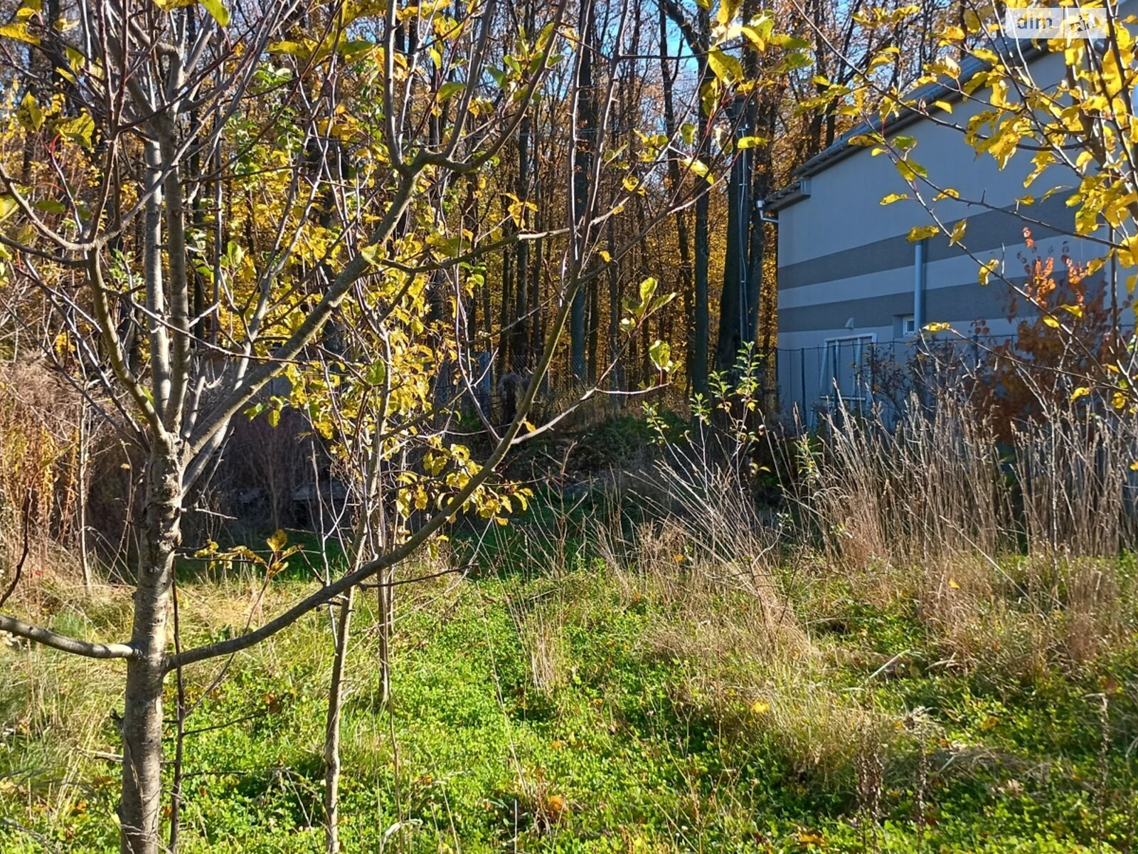 Земельный участок под жилую застройку в Прибужскому, площадь 5 соток фото 1