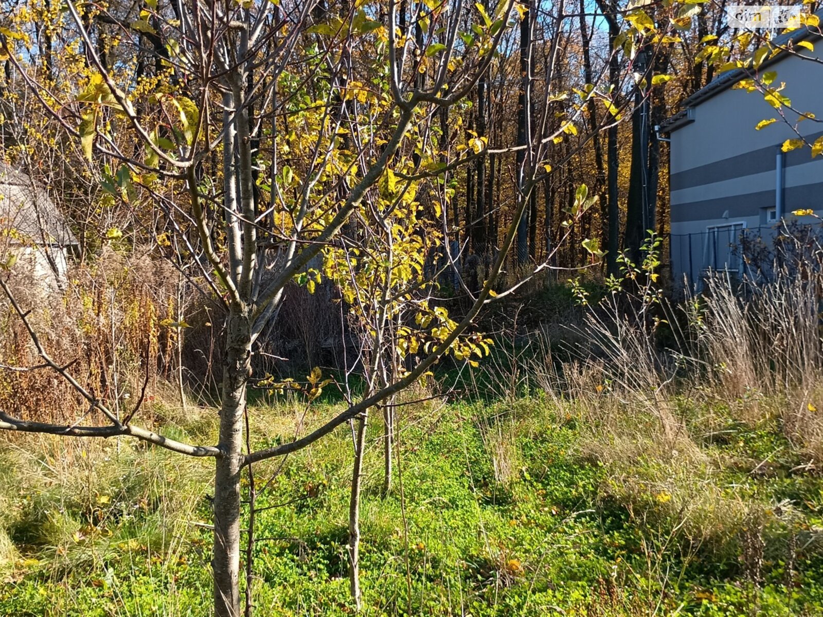 Земельный участок под жилую застройку в Прибужскому, площадь 5 соток фото 1