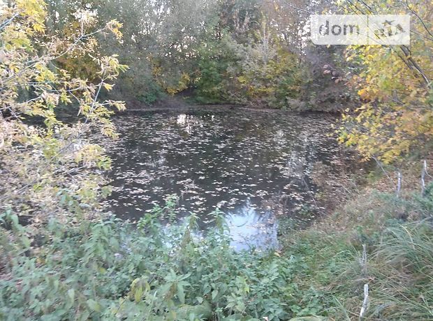 Земля под жилую застройку в селе Александровка, площадь 50 соток фото 1 Земля под жилую застройку в селе Александровка, площадь 50 соток фото 1