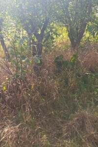 Земля під житлову забудову в Вінниці, район Барське шосе, площа 5 соток фото 2