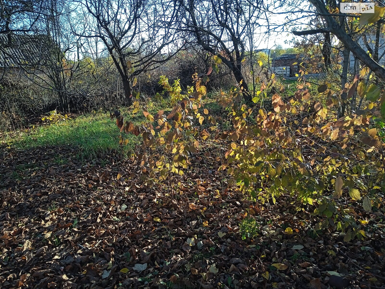 Земельна ділянка під житлову забудову в Агрономічному, площа 5 соток фото 1
