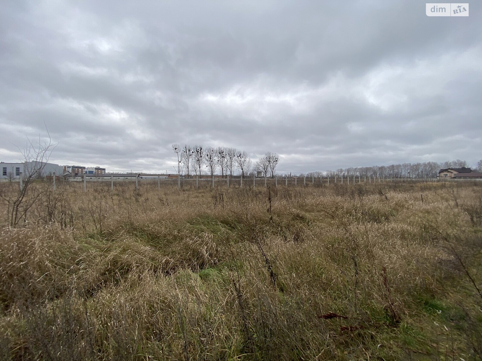 Земельный участок под жилую застройку в Березиной, площадь 31 сотка фото 1 Земельный участок под жилую застройку в Березиной, площадь 31 сотка фото 1