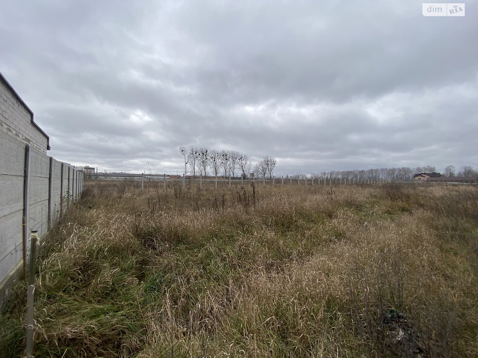 Земельный участок под жилую застройку в Березиной, площадь 31 сотка фото 1 Земельный участок под жилую застройку в Березиной, площадь 31 сотка фото 1