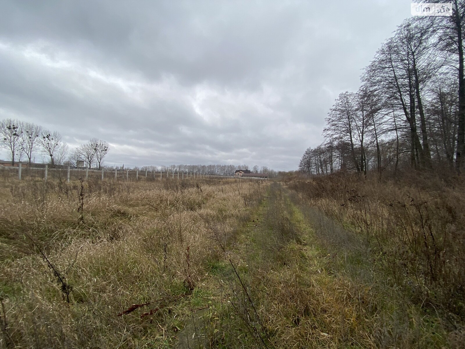 Земельный участок под жилую застройку в Березиной, площадь 31 сотка фото 1 Земельный участок под жилую застройку в Березиной, площадь 31 сотка фото 1