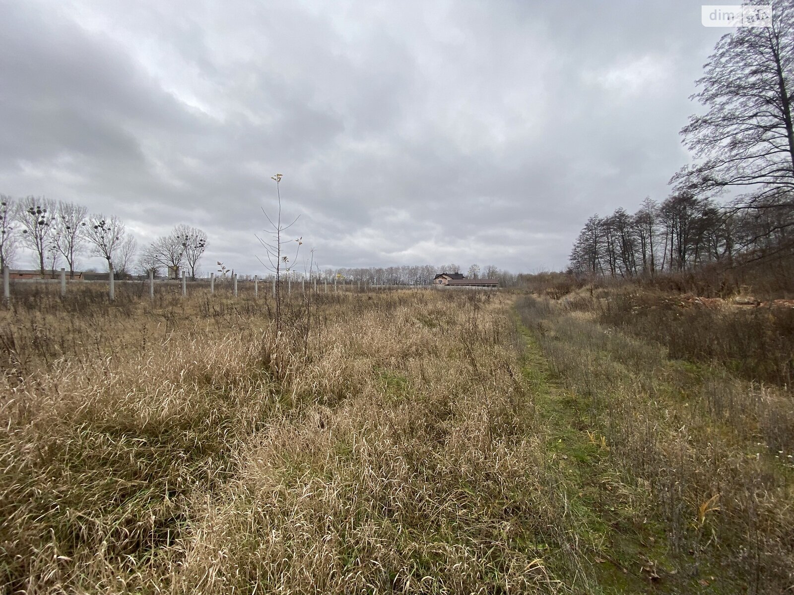 Земельный участок под жилую застройку в Березиной, площадь 31 сотка фото 1 Земельный участок под жилую застройку в Березиной, площадь 31 сотка фото 1