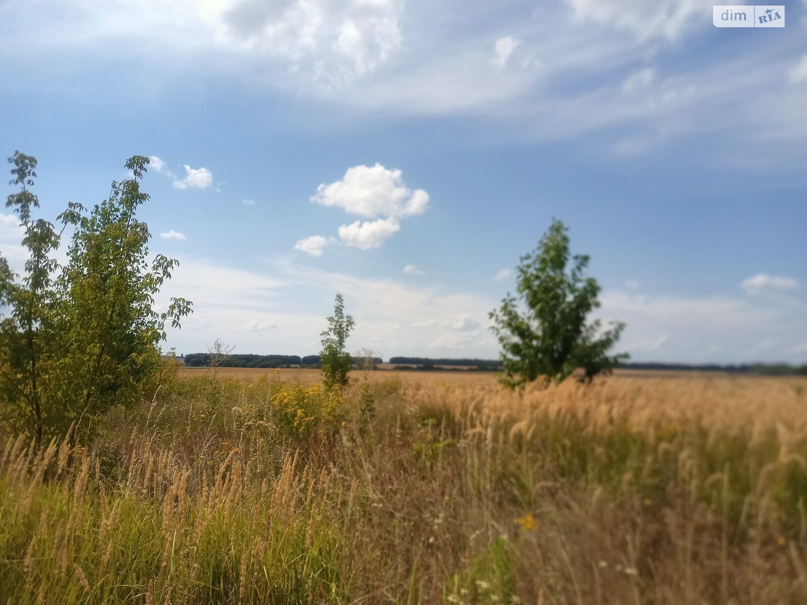 Земельна ділянка під житлову забудову в Агрономічному, площа 9 соток фото 1