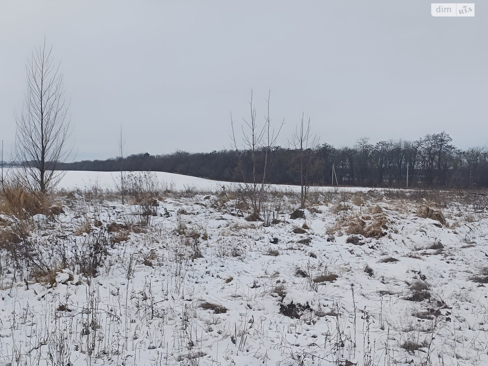 Земельна ділянка під житлову забудову в Агрономічному, площа 9 соток фото 1 Земельна ділянка під житлову забудову в Агрономічному, площа 9 соток фото 1